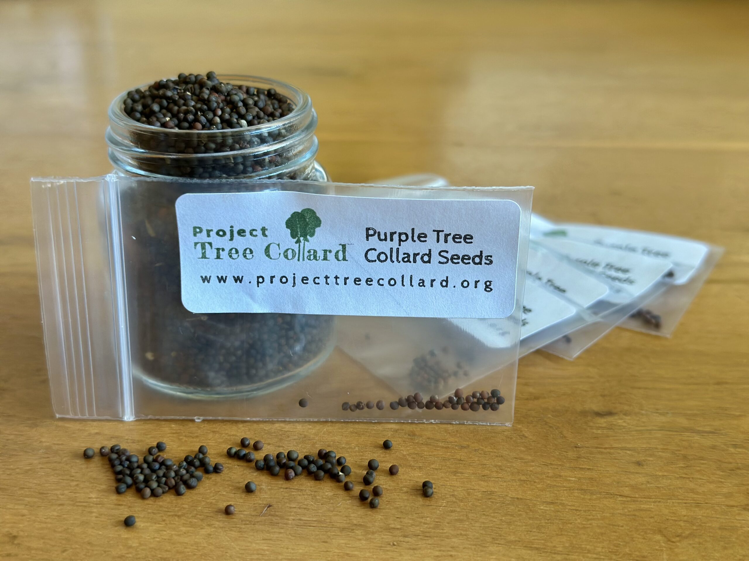 Purple Tree Collard Seeds