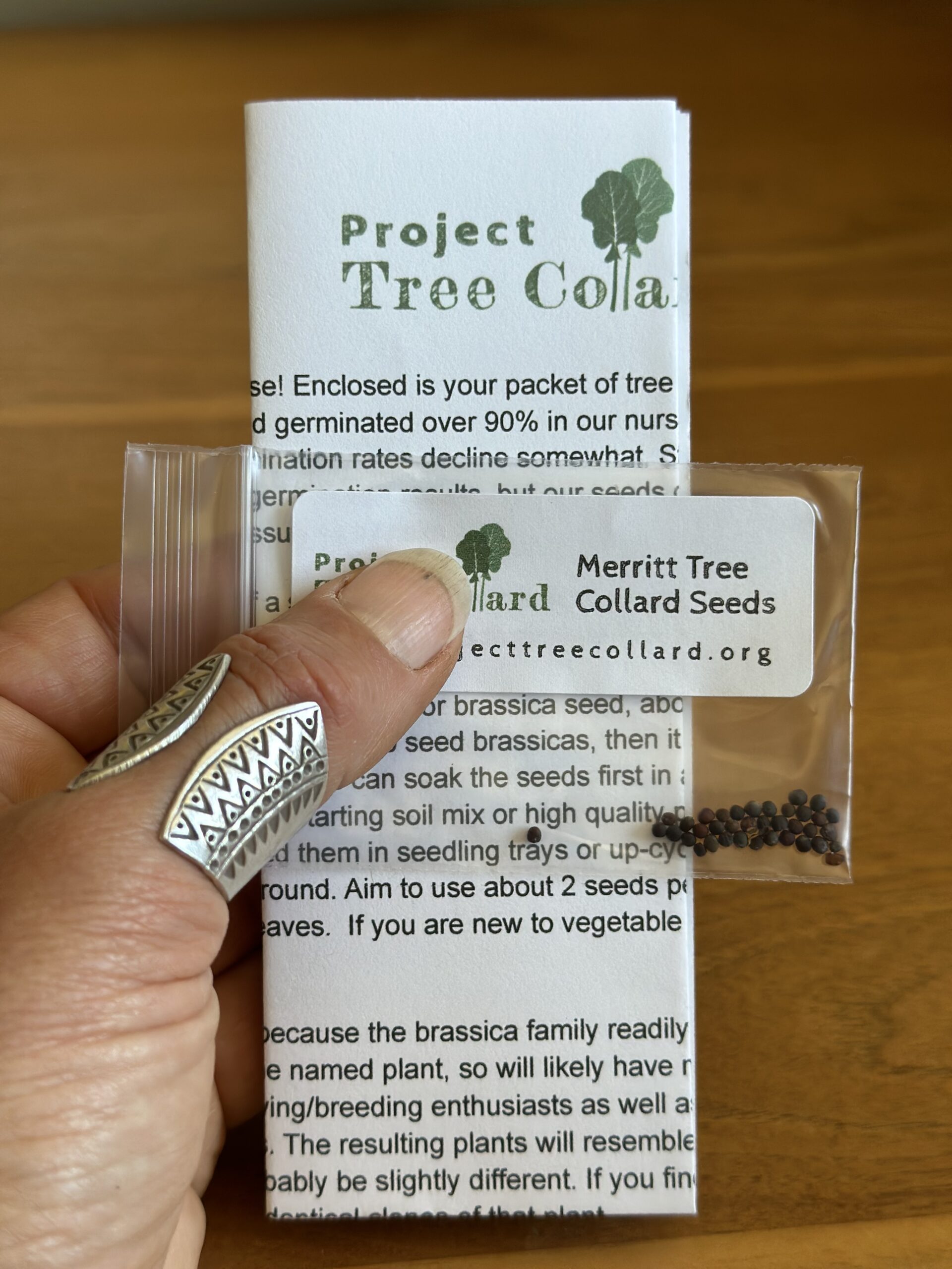Merritt Tree Collard Seeds with Information Sheet