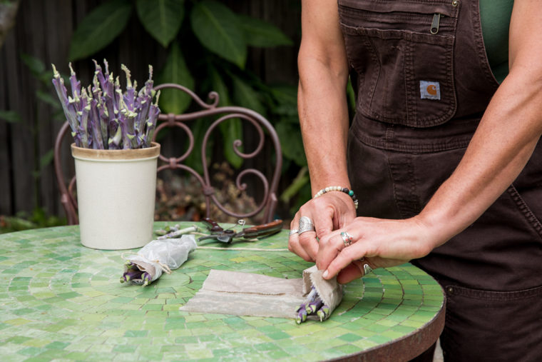 Packaging Purple Tree Collard Cuttings