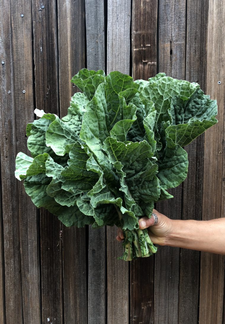 Big Blue Tree Collard Greens