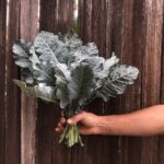 Michigan Tree Collard greens