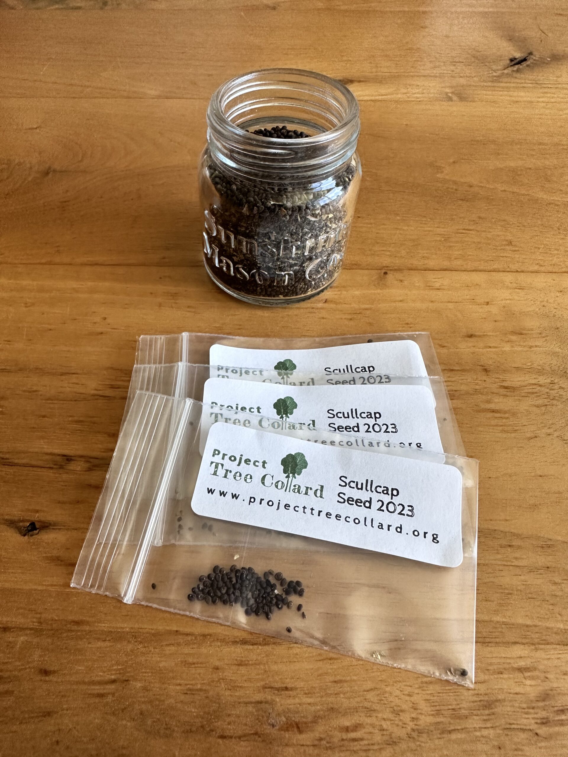 scullcap seed packets
