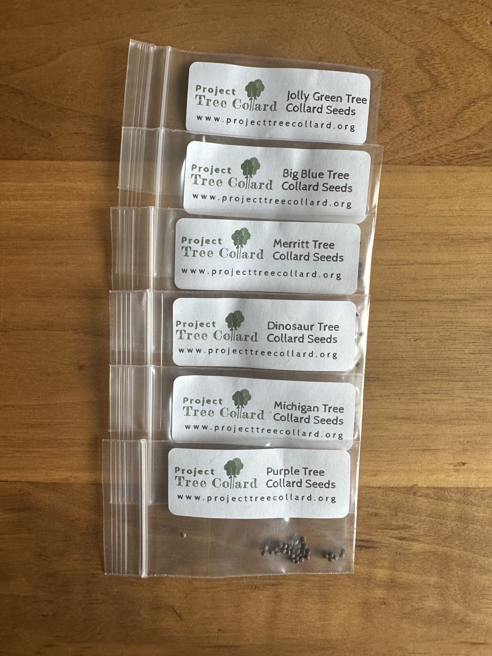 Tree Collard Seed Multi Pack